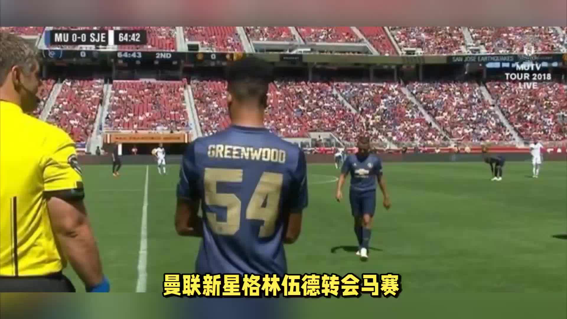 赛泰山队