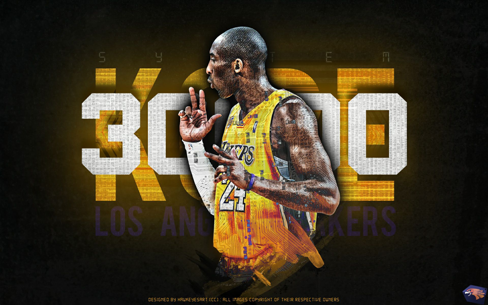 新的观赛快 新的观赛快