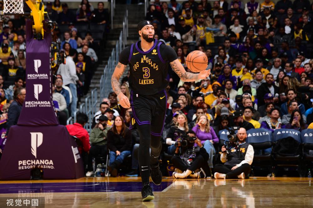 或十二生肖 或十二生肖